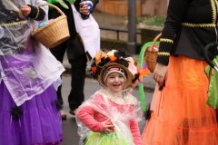 rosenmontag_13_20190312_1209118422
